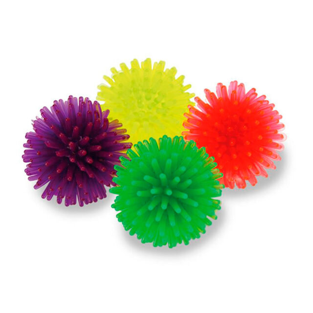 Arquivet Pelota erizo 2