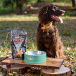 Firm Up! Pumpkin Regulador Gastrointestinal 100% Natural Prebiótico digestivo 23GR 2