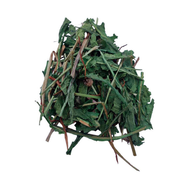 Diente de León 75GR 2