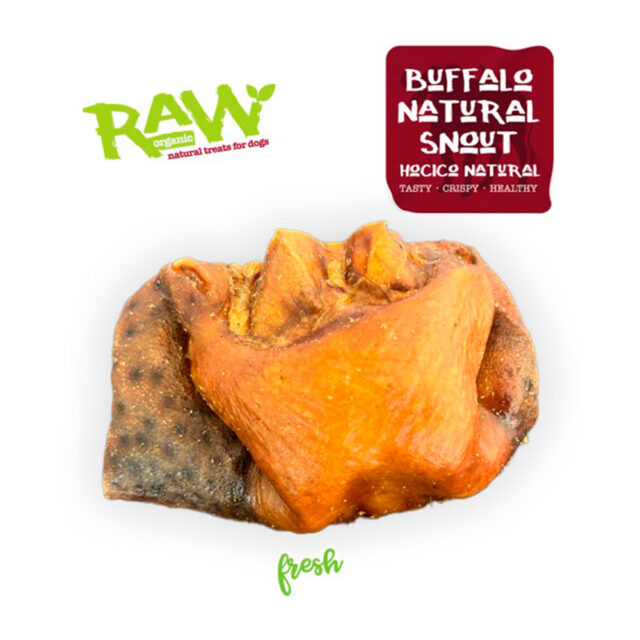 Fresh Raw Hocico natural de búfalo pack 1UND 2