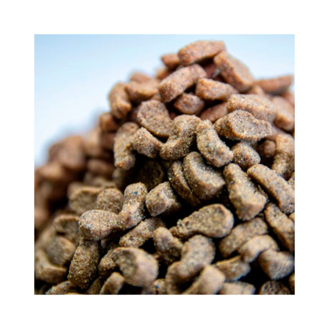 Dialpet excellence GF Sterilized cat 3KG 2