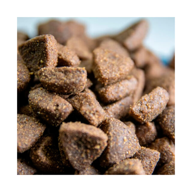 Dialpet excellence GF hypoallergenic 3KG 2