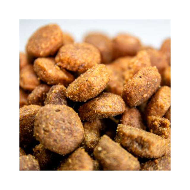 Dialpet excellence GF light senior 3KG 2